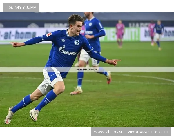 德甲球队常用的中文俗称有哪些？原意与由来解析