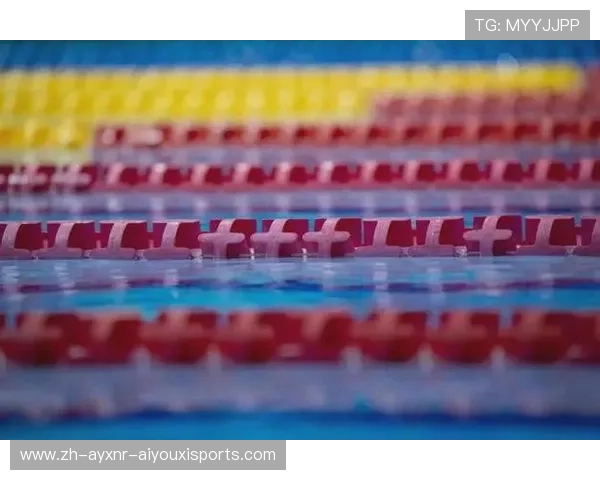 中国游泳公开赛启示录新IP研究院解析赛事品牌价值与市场潜力